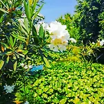 çalışta Plaja Yakın özel Havuzlu Lüx Villa *
