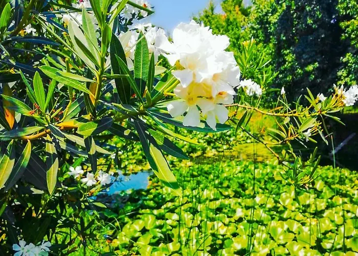 Calista Plaja Yakin Oezel Havuzlu Luex Villa *