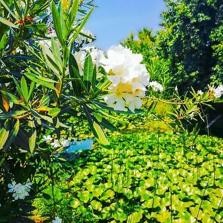 Fethiye Calista Plaja Yakin Oezel Havuzlu Luex Villa Vilă *